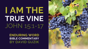 YouVersion John 15 Enduring Word English
